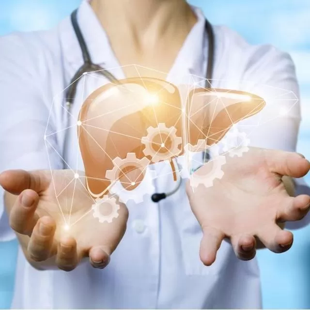 건강검진을 통한 간 기능 점검의 필요성